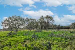 Hwy 87 Other (32)