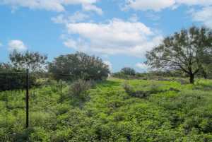 Hwy 87 Other (33)