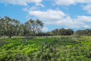 Hwy 87 Other (34)