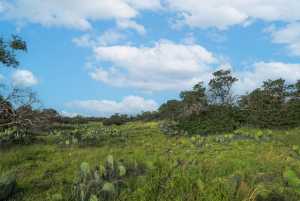 Hwy 87 Other (36)