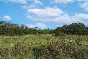 Hwy 87 Other (37)