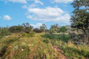 Hwy 87 Other (4)