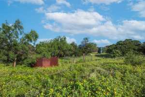 Hwy 87 Other (40)