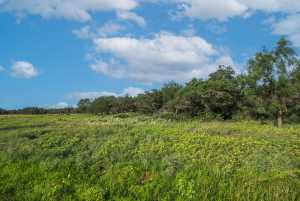 Hwy 87 Other (41)