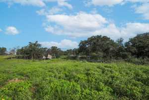Hwy 87 Other (42)