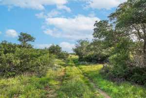 Hwy 87 Other (45)