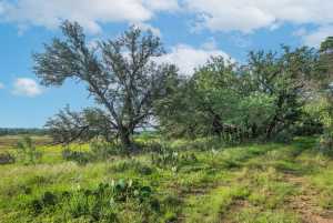 Hwy 87 Other (46)