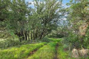 Hwy 87 Other (47)
