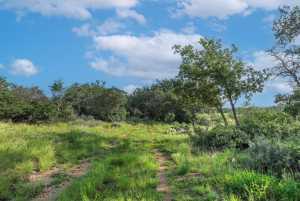 Hwy 87 Other (48)