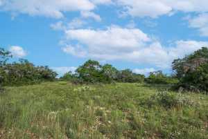 Hwy 87 Other (50)