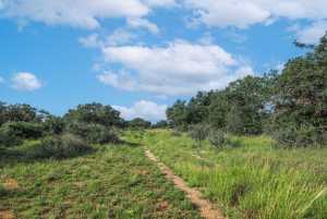 Hwy 87 Other (51)