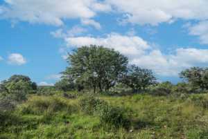Hwy 87 Other (53)