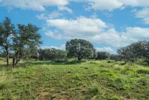 Hwy 87 Other (54)