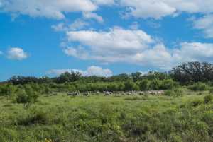 Hwy 87 Other (55)