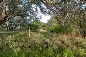 7554 E Hwy 87 (62)