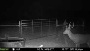 7554 E Hwy 87 (2)