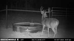 7554 E Hwy 87 (3)