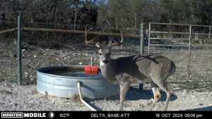 7554 E Hwy 87 (4)