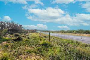 Hwy 87 Other (6)