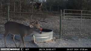 7554 E Hwy 87 (5)