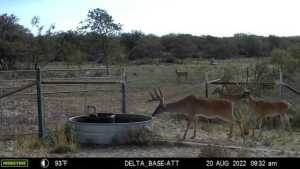 7554 E Hwy 87 (6)