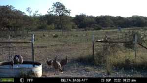 7554 E Hwy 87 (7)