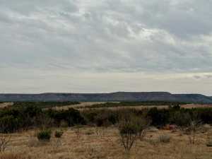 537 Lone Mills Rd (9)