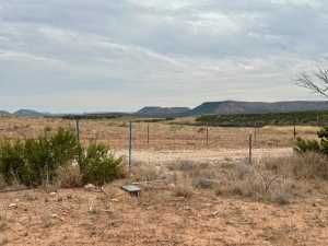 537 Lone Mills Rd (15)