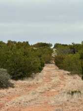 537 Lone Mills Rd (22)