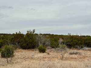 537 Lone Mills Rd (5)