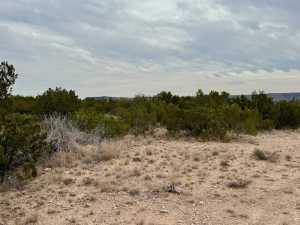 537 Lone Mills Rd (7)