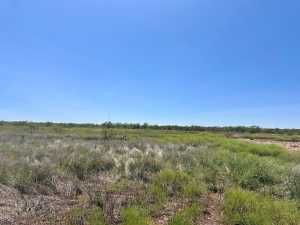 11422 W Grape Creek Rd (17)