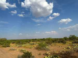 11422 W Grape Creek Rd (27)