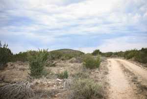 11422 W Grape Creek Rd (5)