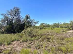11422 W Grape Creek Rd (16)
