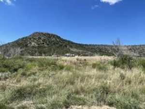 454 Hillside Rd (33)