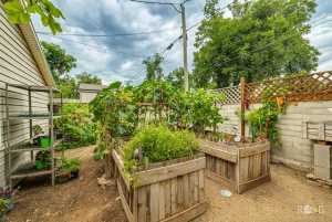 1411 Shafter St (35)