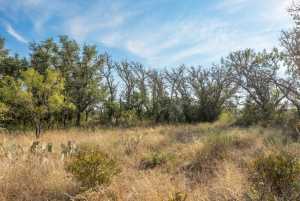 6960 Buck Ridge (13)