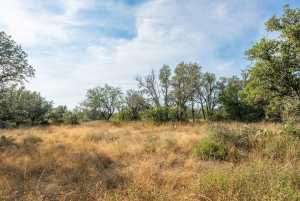 6960 Buck Ridge (14)