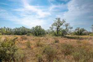 6960 Buck Ridge (17)