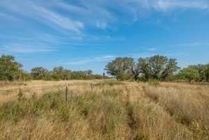 6960 Buck Ridge (26)
