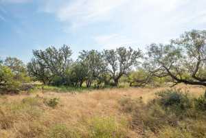 6960 Buck Ridge (27)