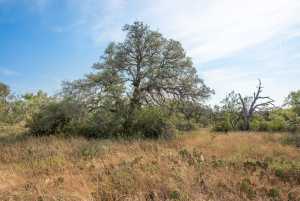 6960 Buck Ridge (31)