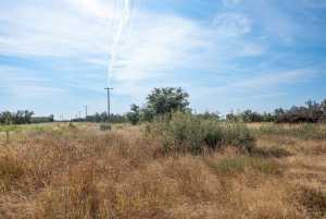 6960 Buck Ridge (33)