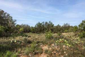 3270 County Rd 4131 (11)