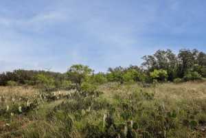3270 County Rd 4131 (12)