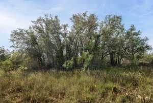 3270 County Rd 4131 (13)