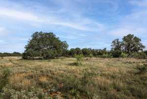 3270 County Rd 4131 (15)