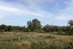 3270 County Rd 4131 (16)