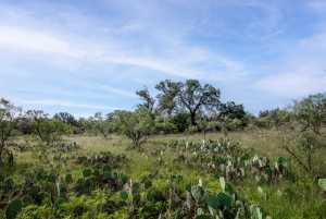 3270 County Rd 4131 (17)